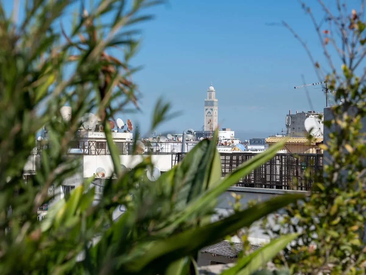 Cozy & Modern Apartment With Rooftop Gym Great Casablanca Location